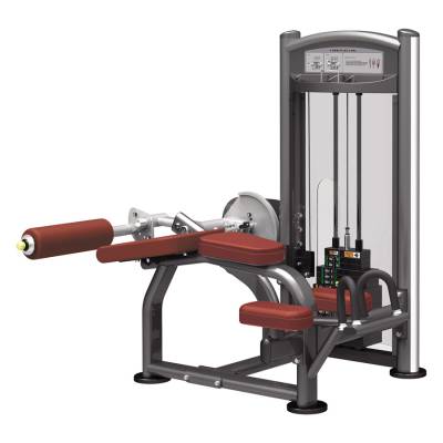 Сгибание ног лежа Aerofit IT9321 Тренажёр является воплощением профессионализма, стиля и надёжности. Обладает устойчивой конструкцией и современным дизайном.

Прочная структура рамы изготовлена из стальных труб. Параметры профиля труб: 5&times;10 см, стенки толщиной 0,3 см. Новейшая технология сварки позволяет достичь наивысшей точности.

Новейший порошковый способ покраски рамы позволяет создать лучшее сцепление металла с поверхностью, покрытой лаком.
