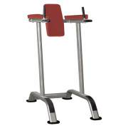 Брусья-пресс AeroFit IT-7010
